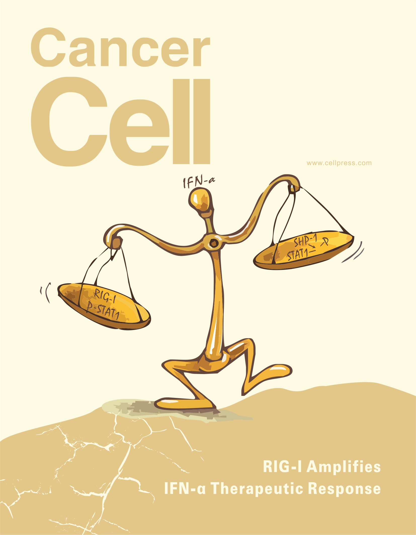 医学科研成果 CELL杂志刊登的封面设计-戟慕