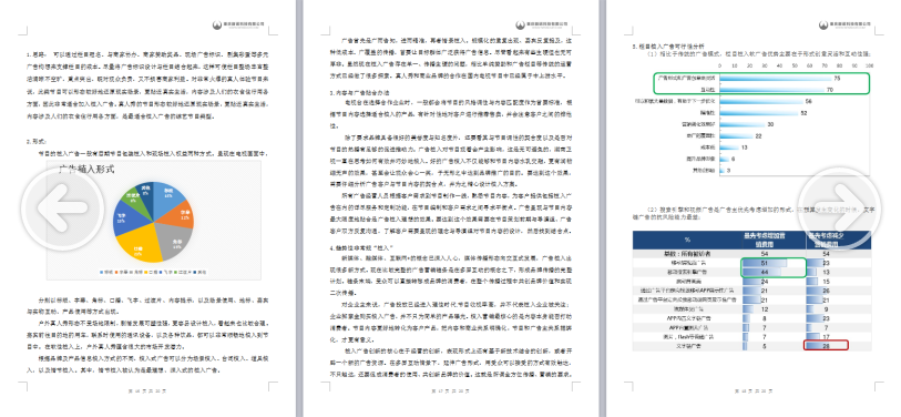 软件开发商业计划书案例(软件公司商业计划书)