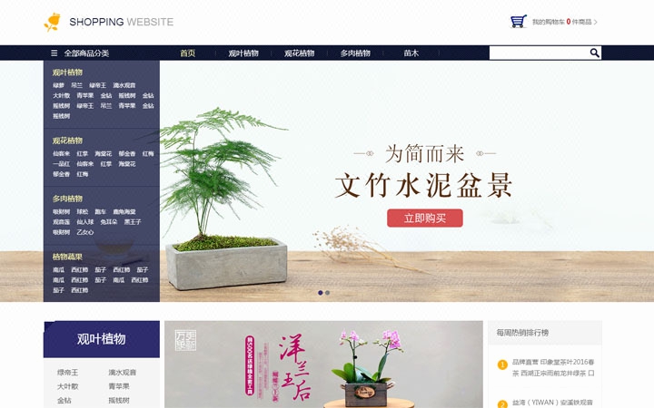 电商网站模板建站商城建设开发微商城分销小程