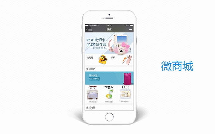 微信开发 微信H5开发 微信小程序 H5开发 微砍