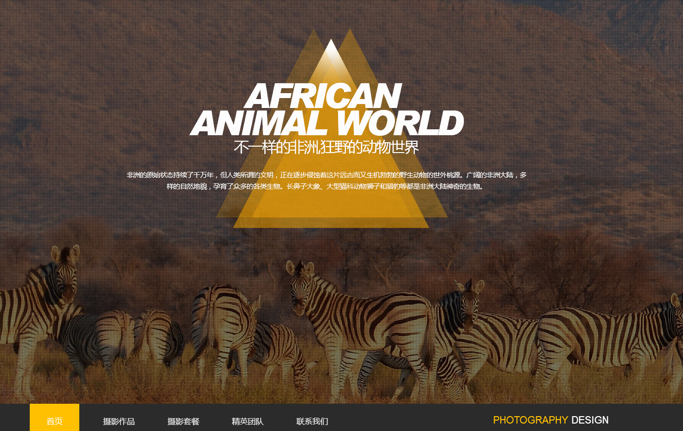 商城网站建站开发营销型网站设计制作 门户网