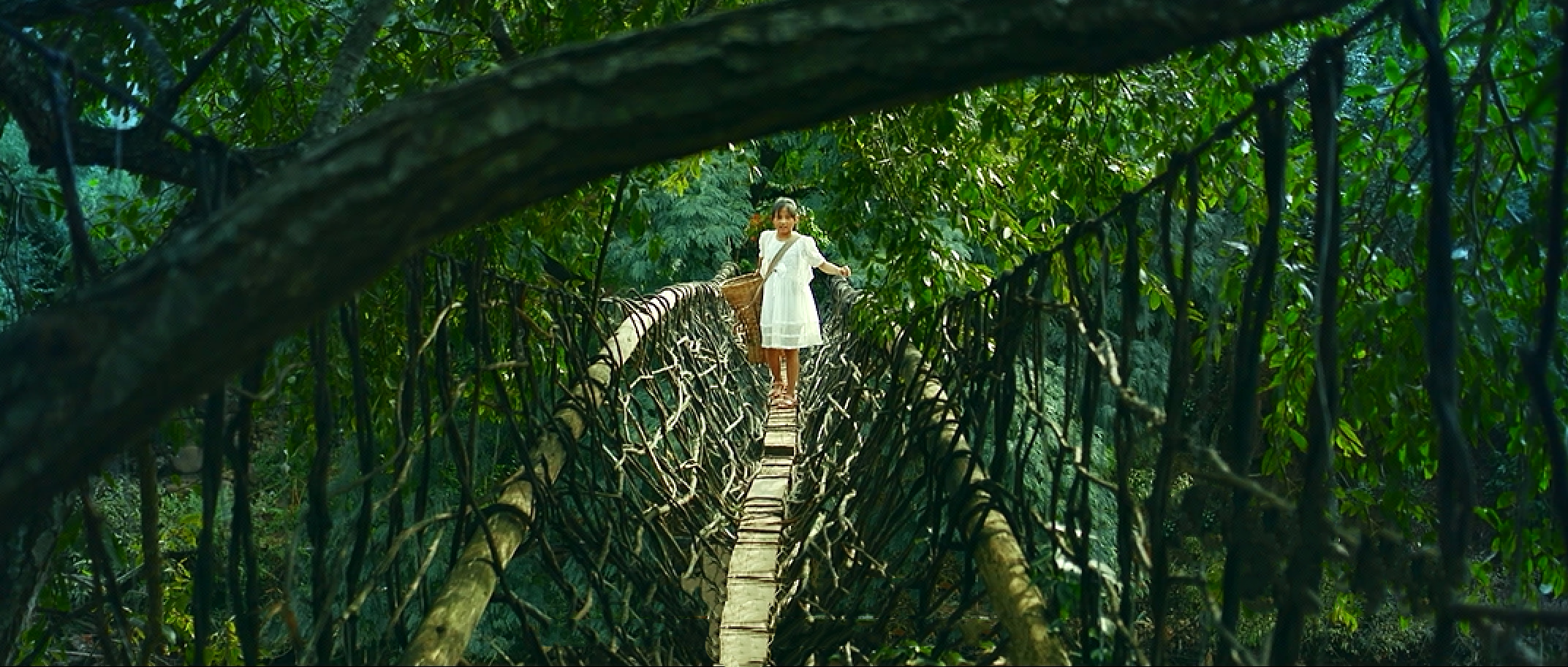 【城市宣传】超火!唯美城市形象宣传片(有成功