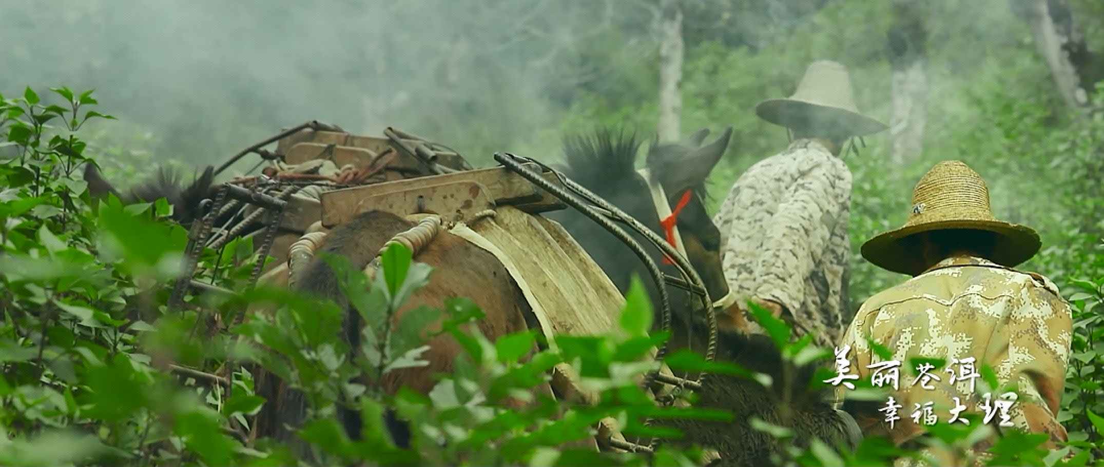 【城市宣传】超火!唯美城市形象宣传片(有成功