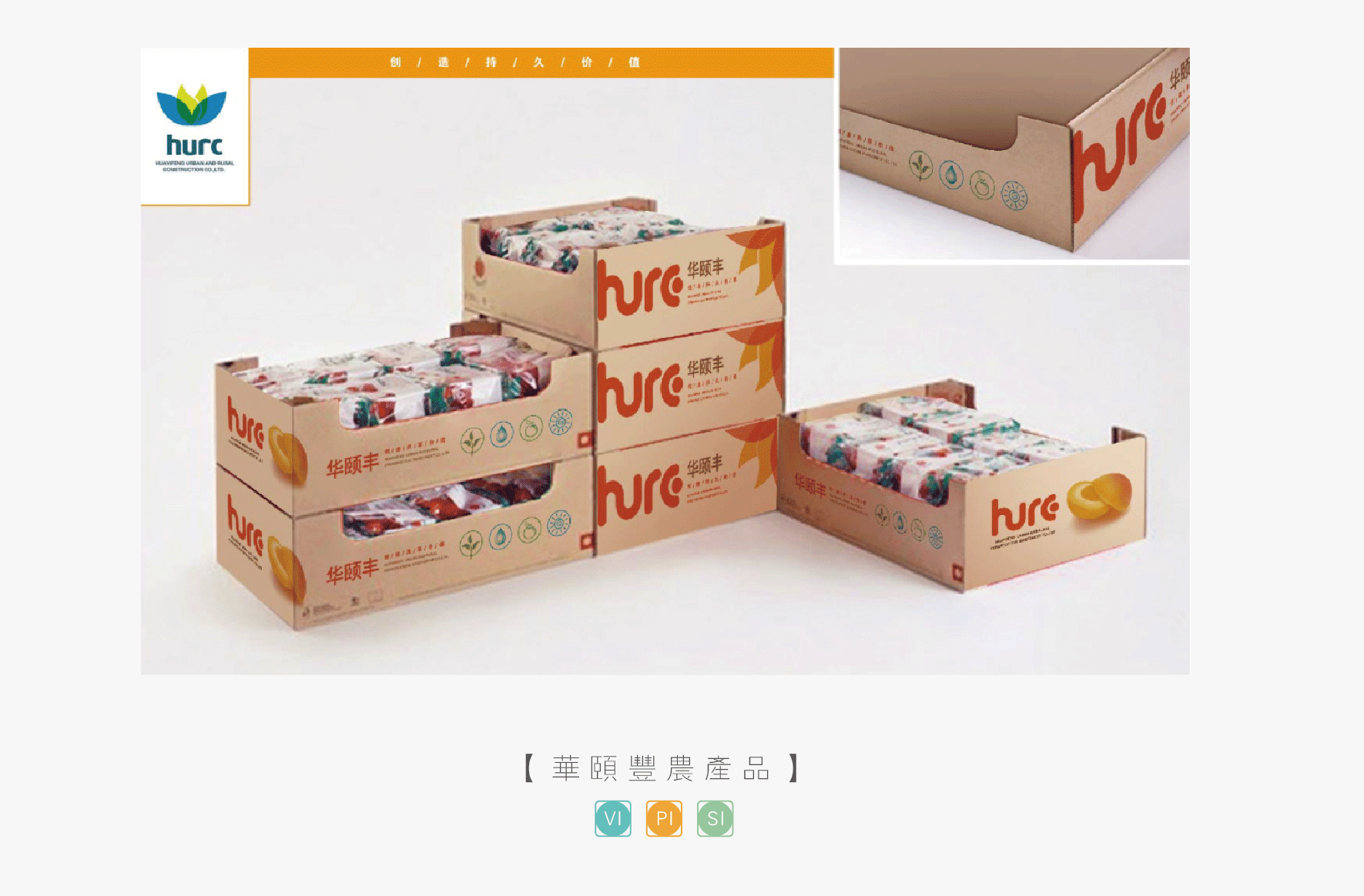 包装设计_企业日用品饮品医药保健农产品包装盒袋设计瓶型包装设计高端4