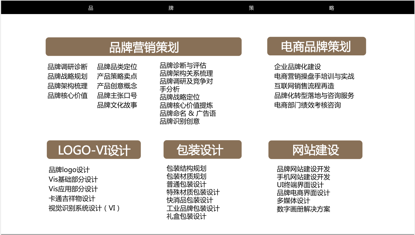 品牌网站设计标准_定制双品牌  第1张