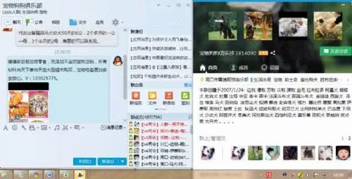 猪猪零食QQ群发推广10
