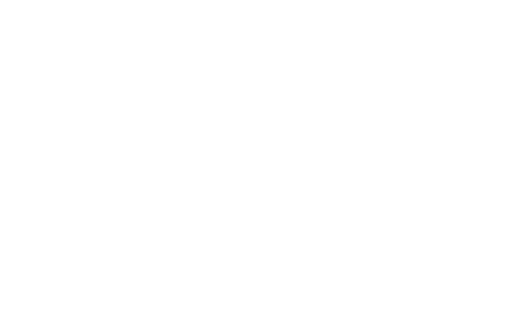 冰蚁