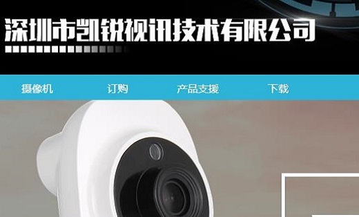 公司企业网站建设开发