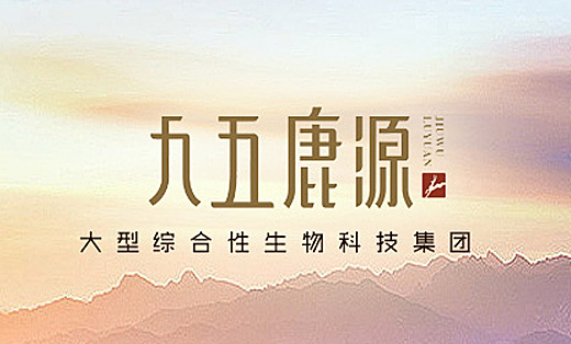 獅動(dòng)策劃設(shè)計(jì)-誠(chéng)信16年直營(yíng)店