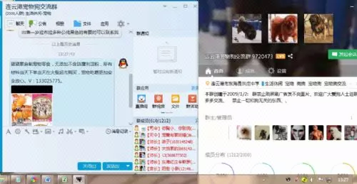 猪猪零食QQ群发推广7