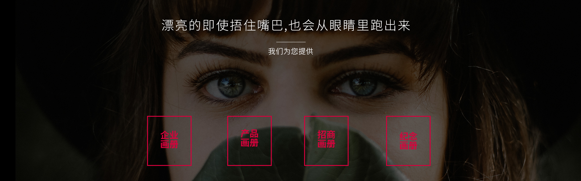 登客品牌设计_众多名企选择
