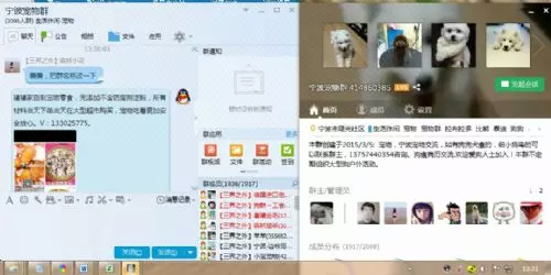 猪猪零食QQ群发推广8