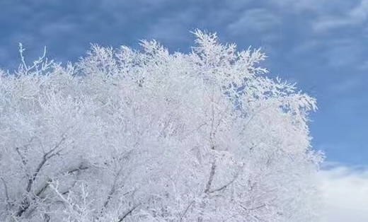 奶茶店录音文案文稿-广告创意类文案