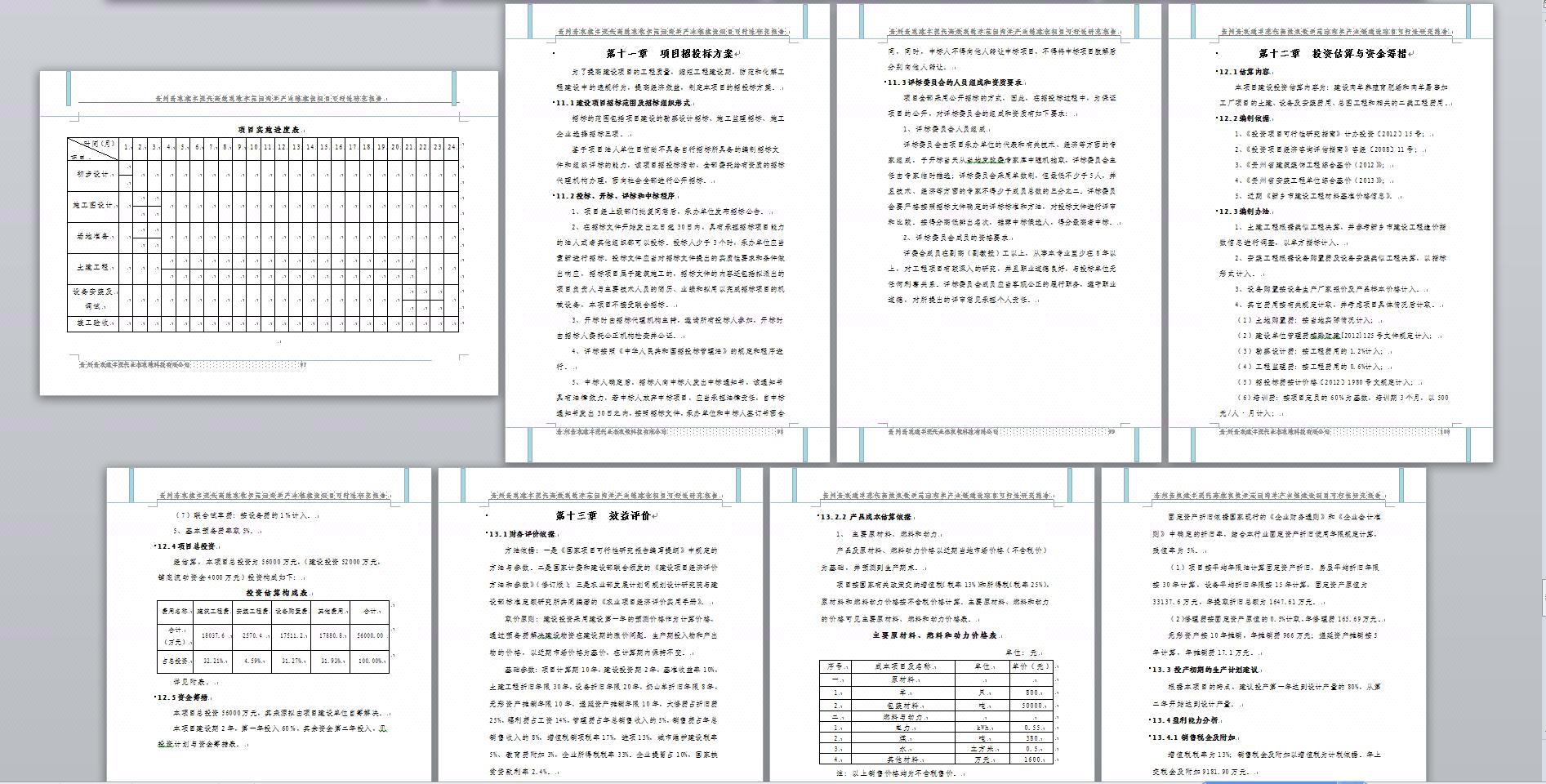 经济可行性研究报告_湖北可行性研究报告 范本沟域经济