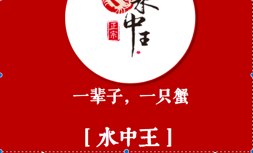 水中王 中國風(fēng)ppt 20頁