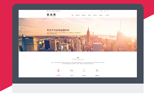 【定制网站开发】安讯奔