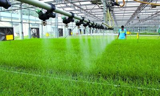 智能农业灌溉系统案例,智能灌溉系统的设计与实现