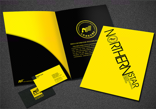 成熟型企业特惠VI系统定制设计50项