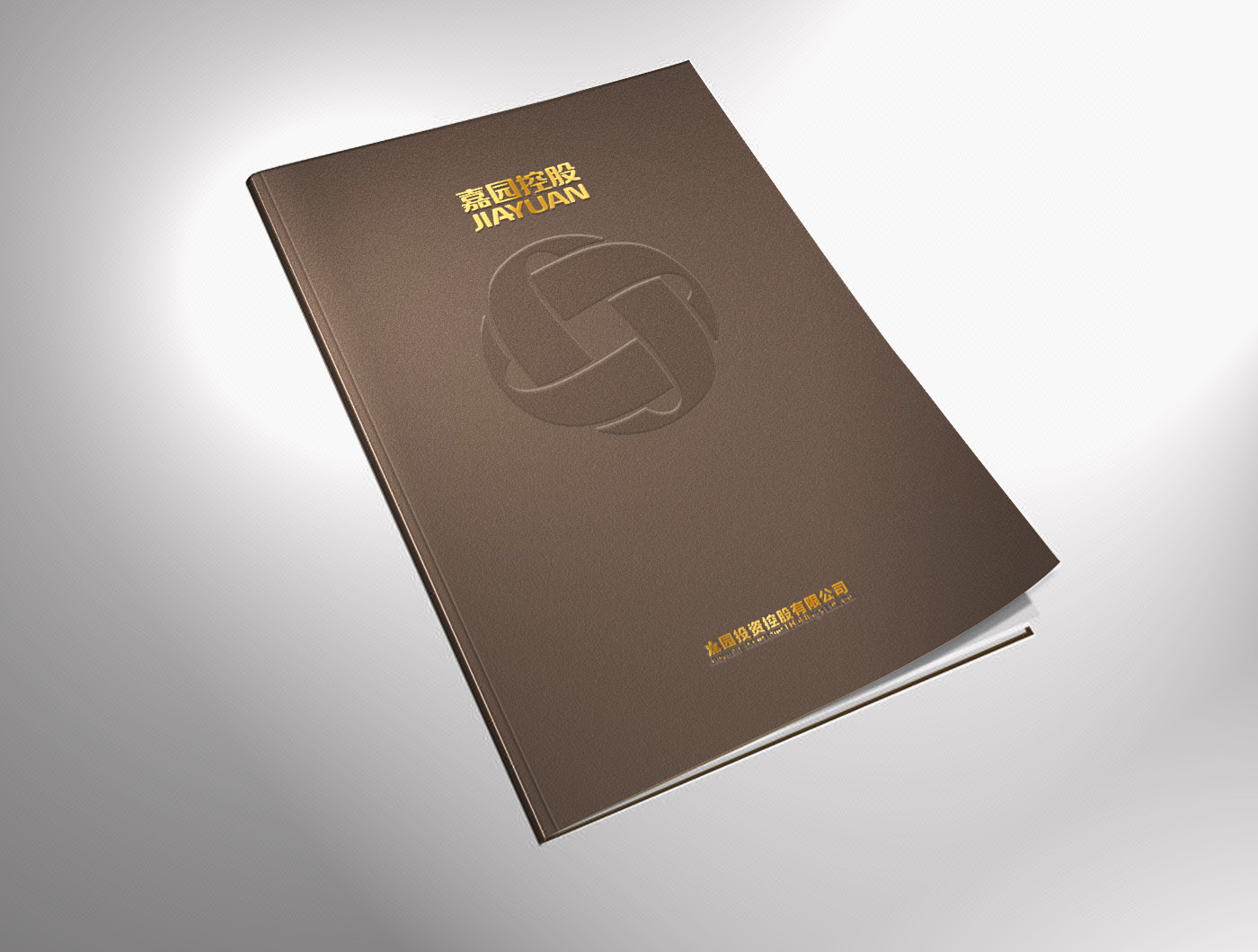 企业画册产品手册招商宣传册餐饮育婴酒店设计排版高档双12狂欢