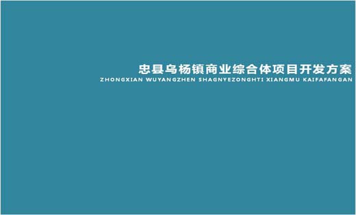 忠县乌杨镇商业综合体项目开发方案