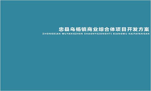 忠縣烏楊鎮(zhèn)商業(yè)綜合體項(xiàng)目開發(fā)方案