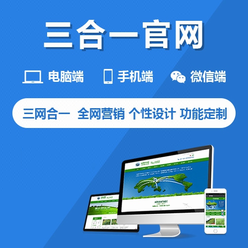 企业网站建设公司官网制作仿三合一外贸定<hl>制做</hl>中英文开发设计整套