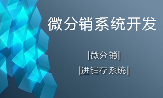 微分销系统定制开发|进销存系统定制开发|微分销结合进销存