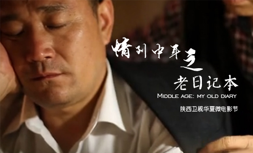 《情到中年》系列微電影劇本案例
