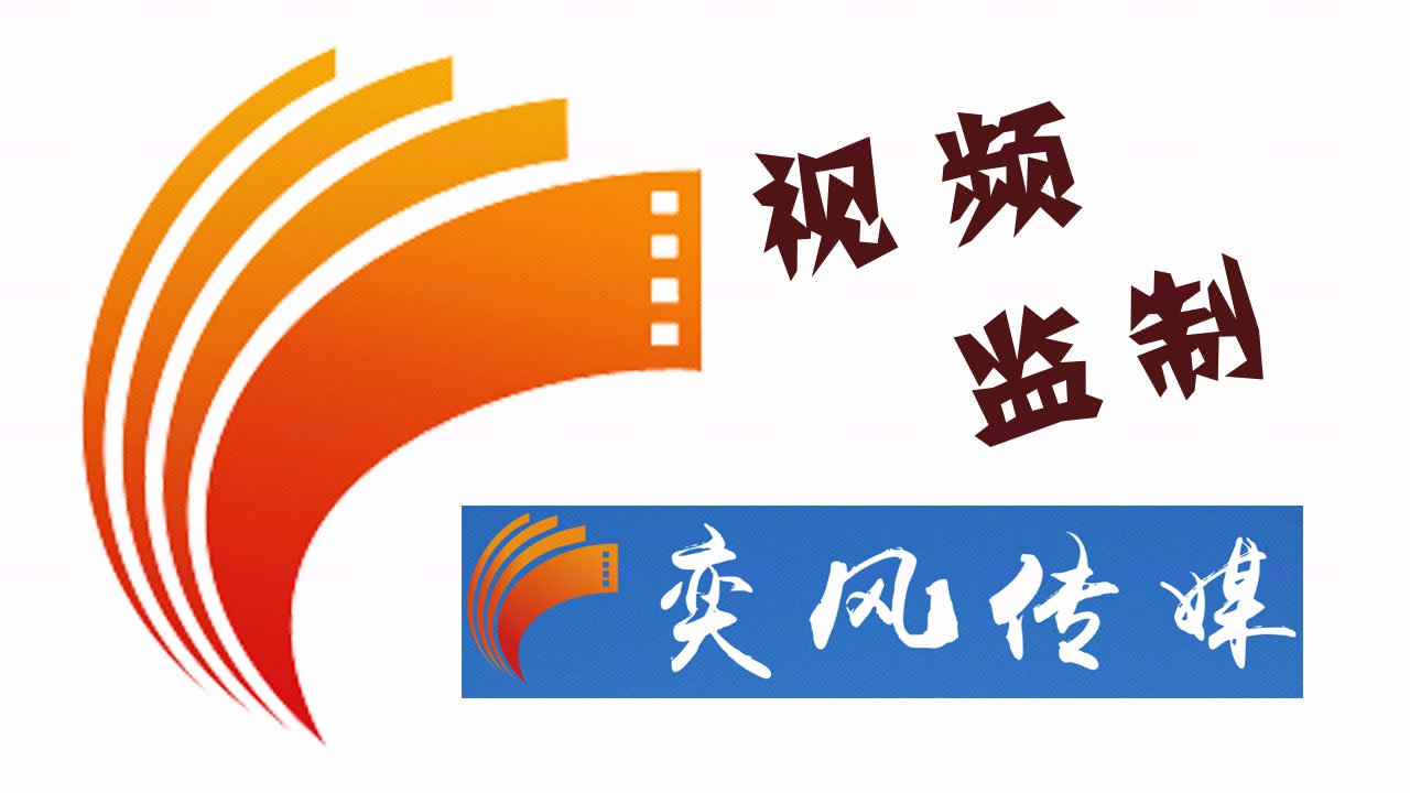 指出视频在画面和声音对观众感觉的问题，按照个数收费
