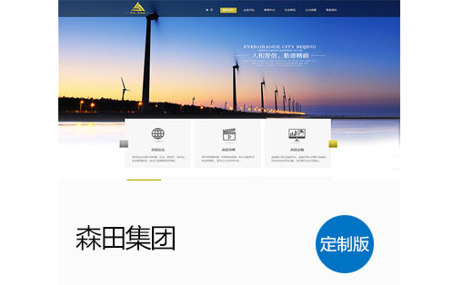 森田集团网站建设