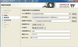 Oracle 数据库安装调试 10g 11g 12c
