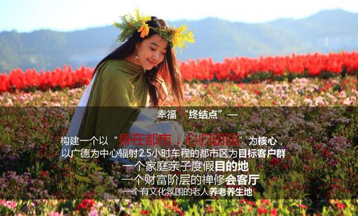 安徽某特色小鎮(zhèn)商業(yè)計(jì)劃