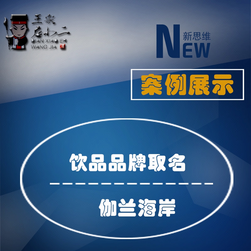 王家店小二&取名logo包裝vi畫冊