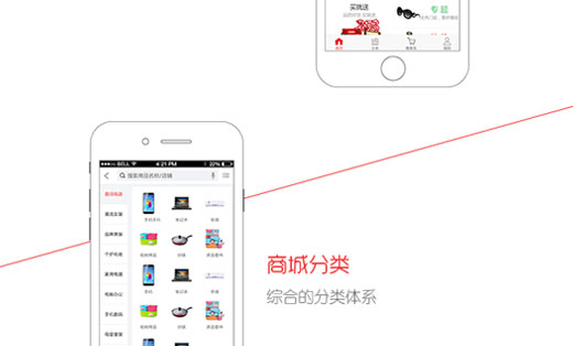 商城网站电商开发 读完就懂