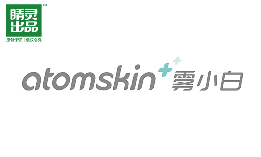 atimskin雾*护肤品牌VI设计