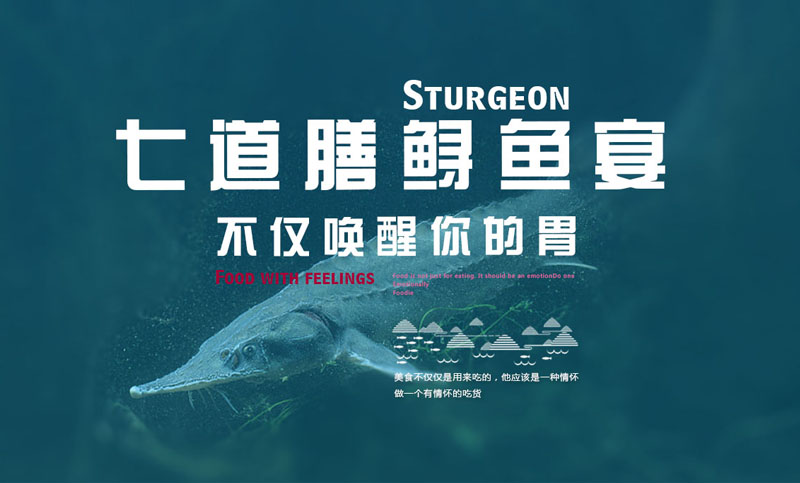 手机自适应直购网站LOGO标签策划工业农业电商微商集团地产等
