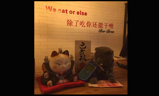 急需一篇演讲稿,以中国梦,农行梦,我的梦为主