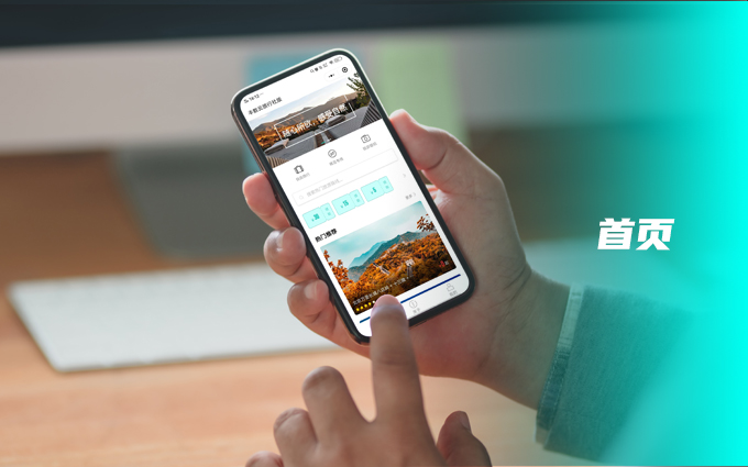 丰数网络-互联网技术专家