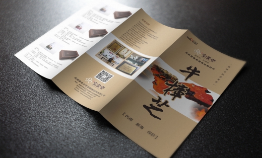 瑞一提供宣傳品單頁、折頁設(shè)計