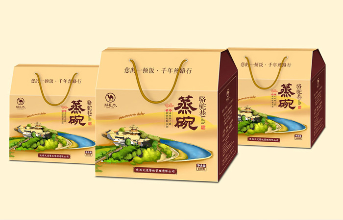 色度品牌策划包装设计