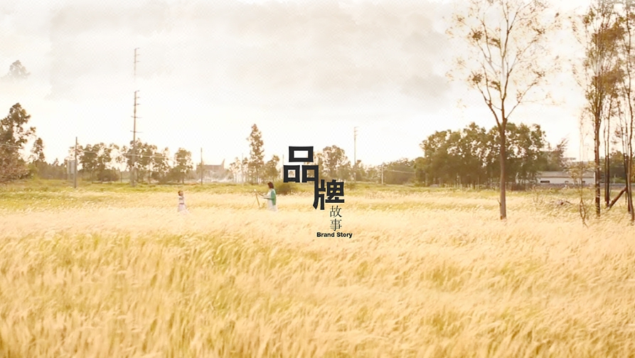 高端企业品牌文案全案策划楼盘开盘商场开业活