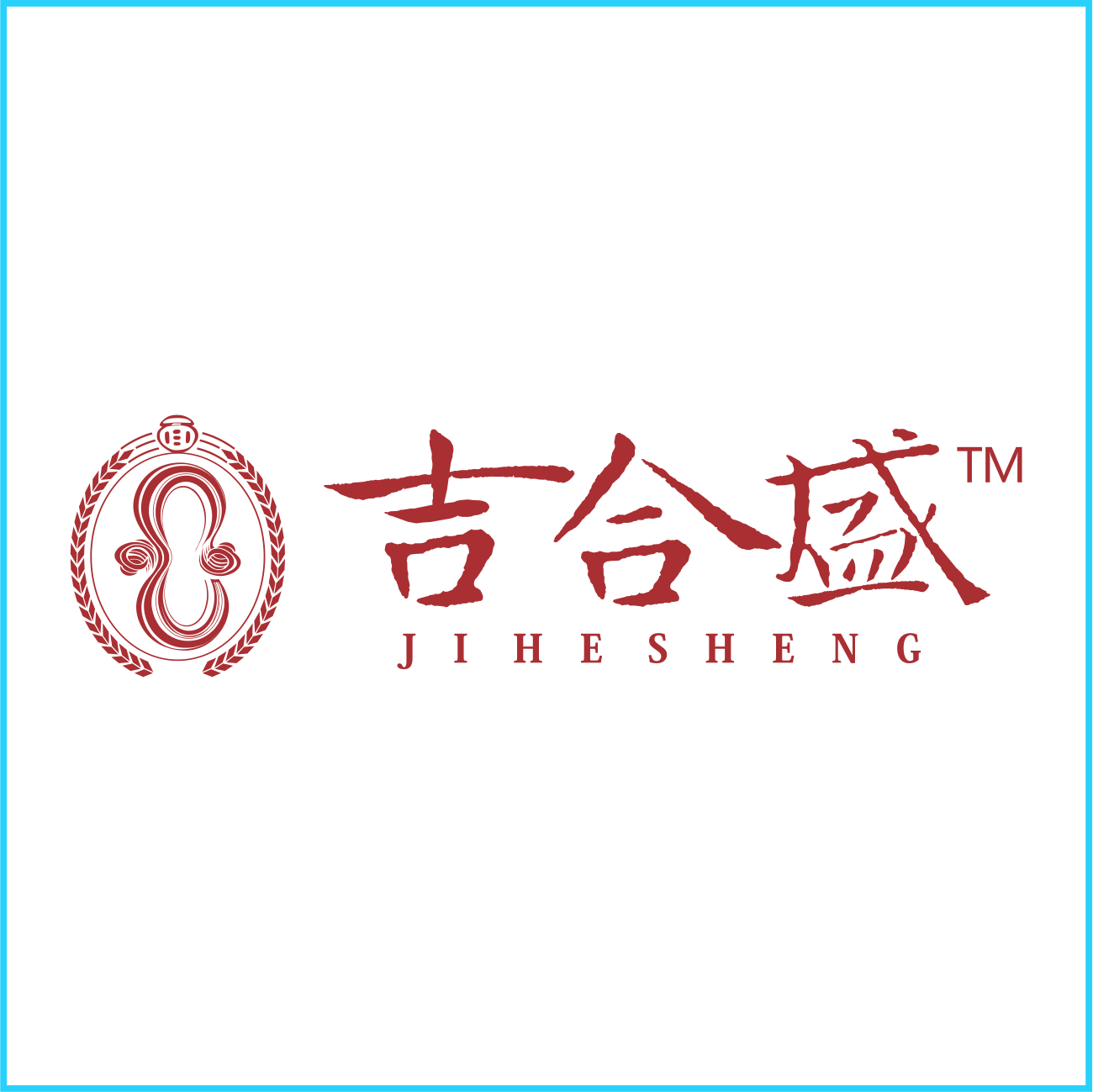 专业的logo设计