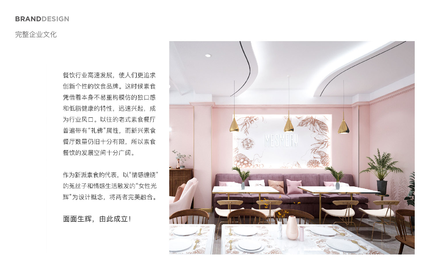 九色鹿品牌設計
