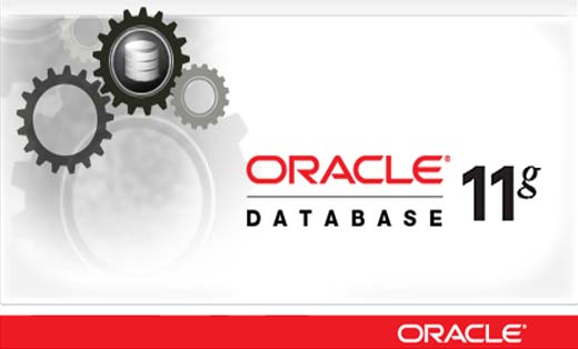 某医院数据中心Oracle数据库容灾备份项目