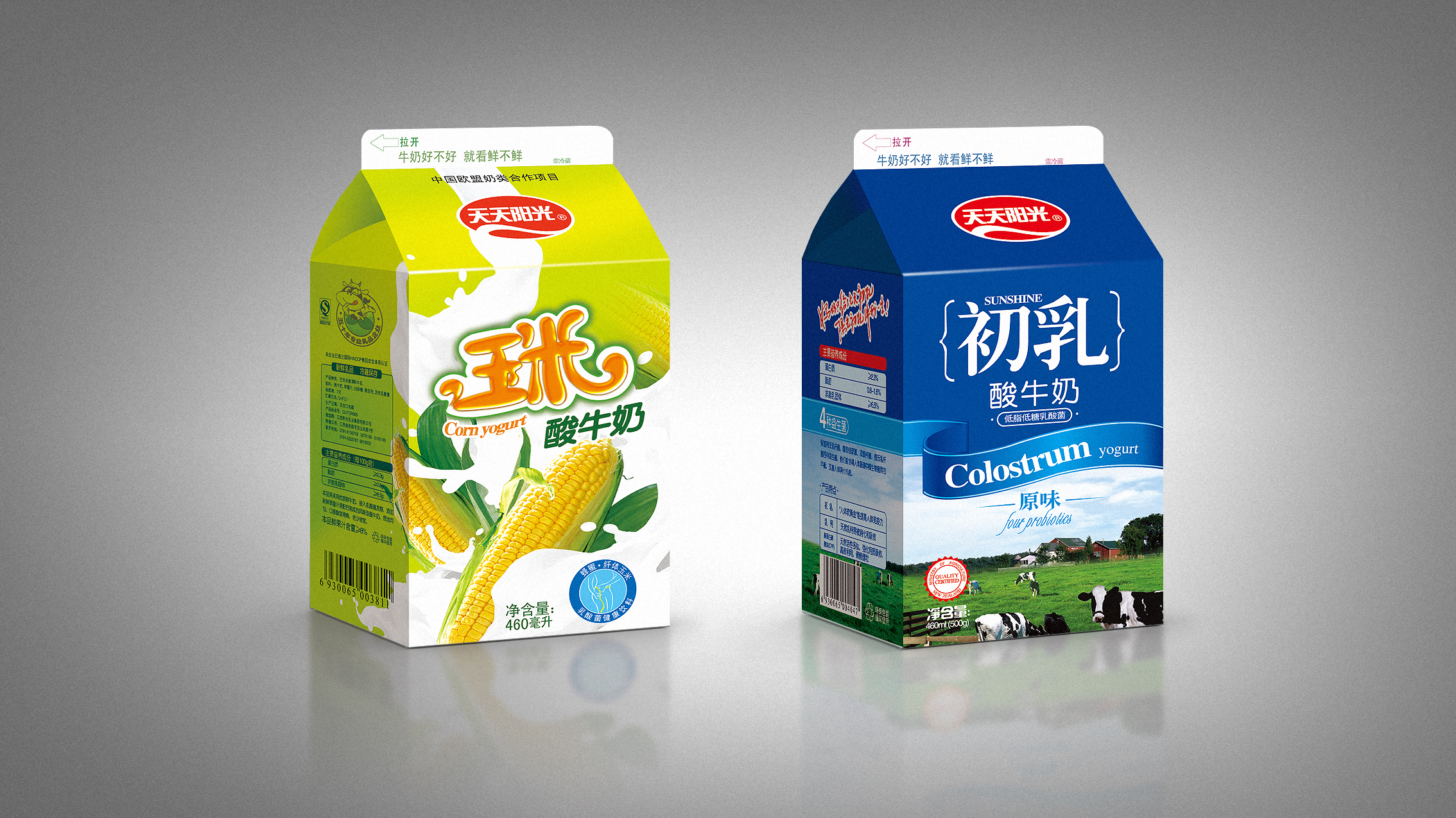 天天阳光鲜牛奶