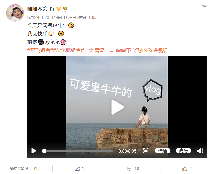 原創(chuàng)視頻剪輯，需提供素材，負責流程制作，轉(zhuǎn)場效果，字幕等