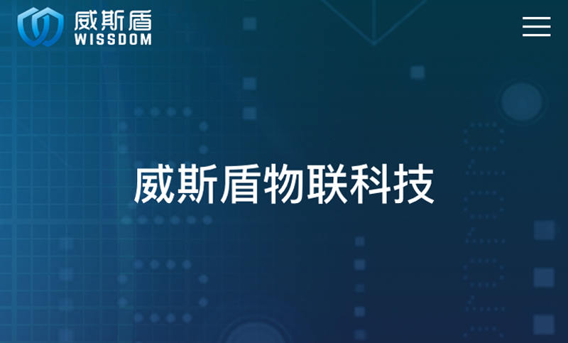 威斯盾網(wǎng)站app設(shè)計