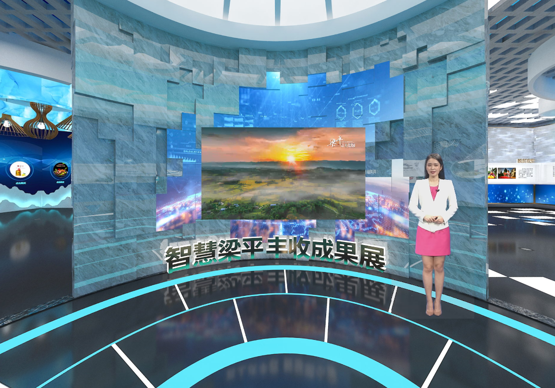 蘇州大智慧數(shù)字科技有限公司