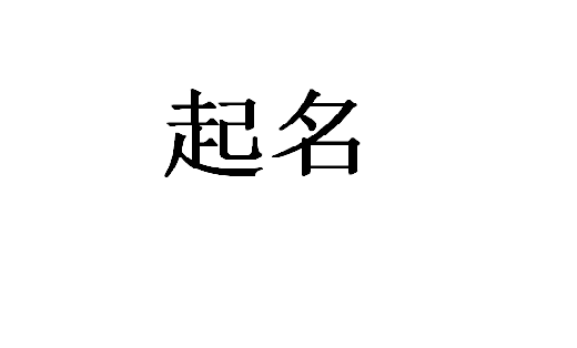 起名字