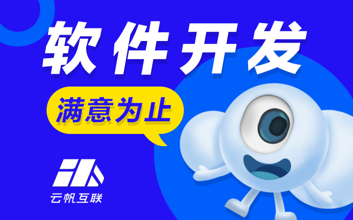 国内比较有名的软件开发公司有哪些(知名软件开发公司)